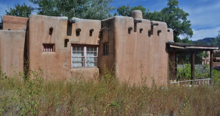 the pink house